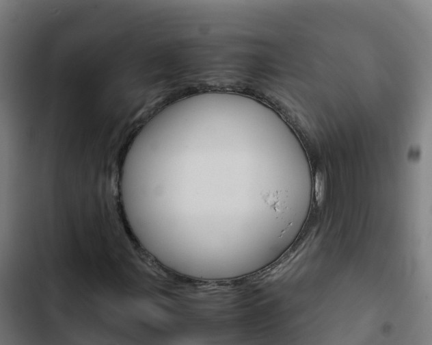 X0000103431107200809121030