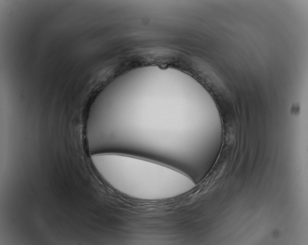 X0000103431108200809121030