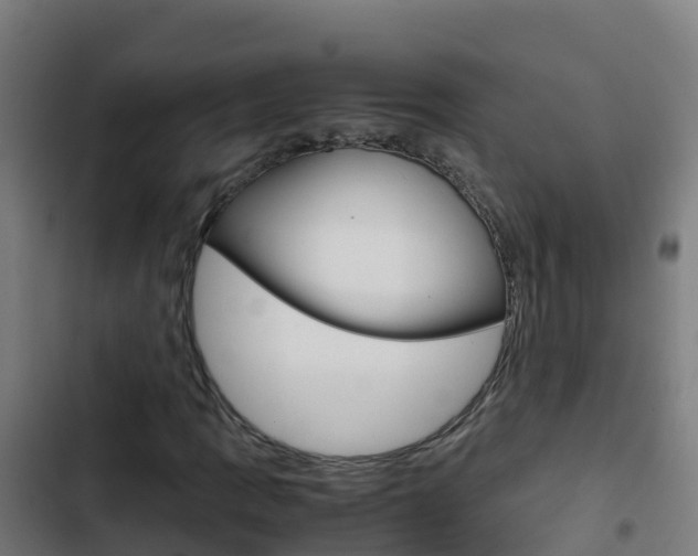X0000103431109200809121030
