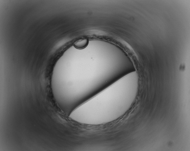X0000103431112200809121030