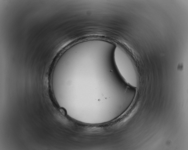 X0000103431113200809121030