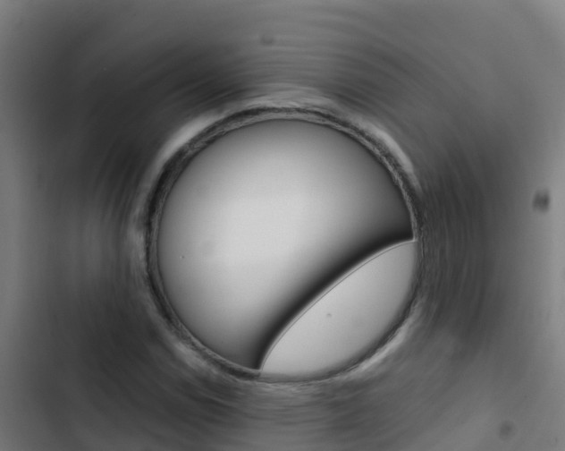 X0000103431114200809121030