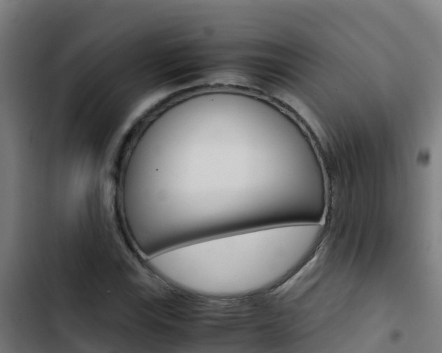 X0000103431115200809121030