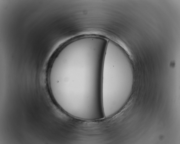 X0000103431116200809121030