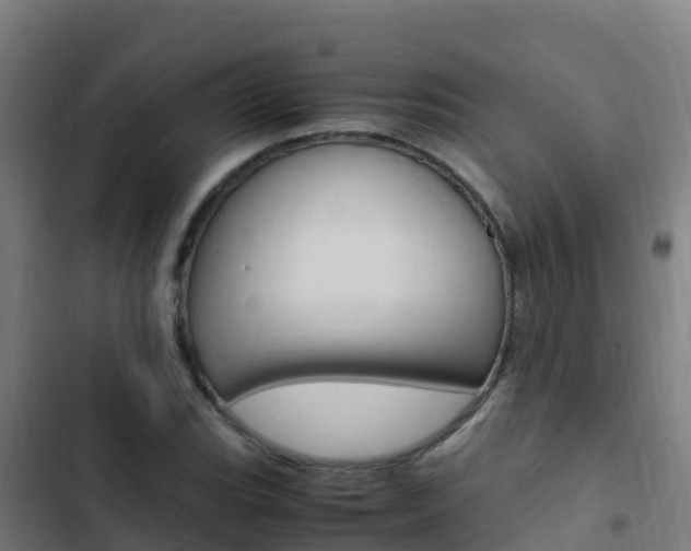 X0000103431119200809121030