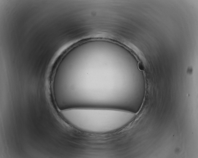 X0000103431120200809121030