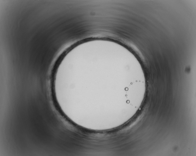 X0000103431122200809121030