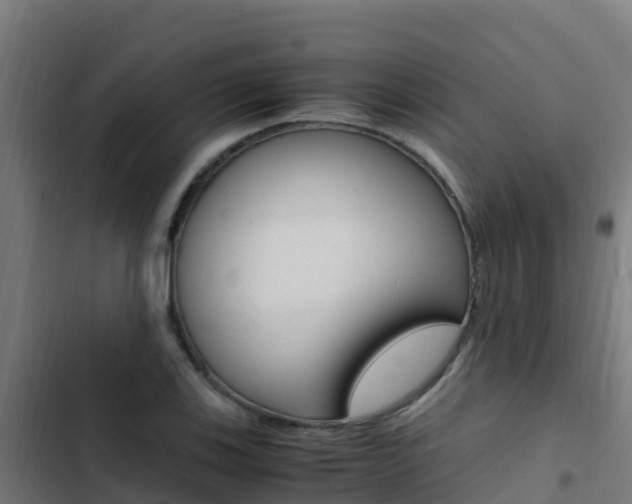 X0000103431123200809121030