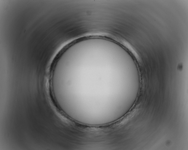 X0000103431124200809121030