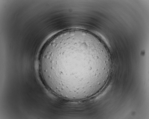 X0000103431125200809121030