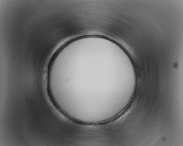 X0000103431126200809121030