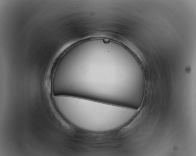 X0000103431127200809121030