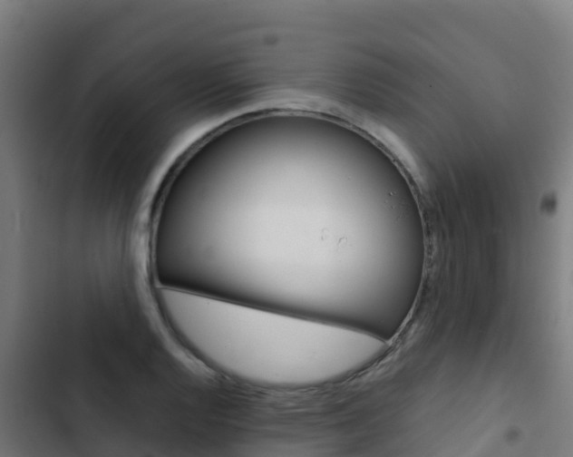 X0000103431128200809121030