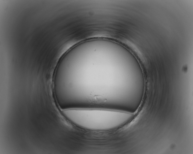 X0000103431129200809121030