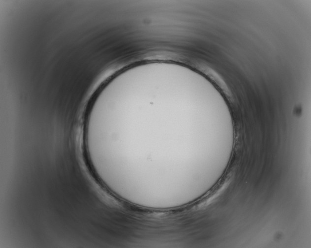 X0000103431130200809121030