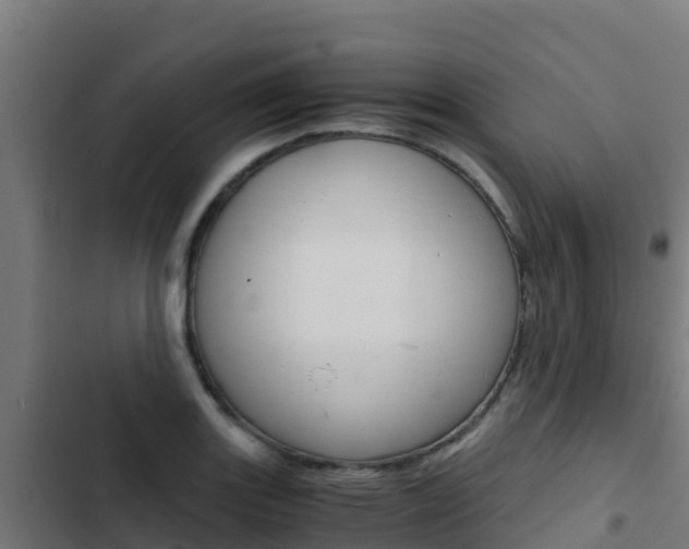 X0000103431131200809121030