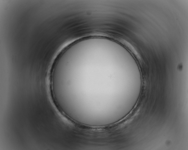 X0000103431133200809121030