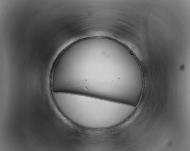 X0000103431134200809121030