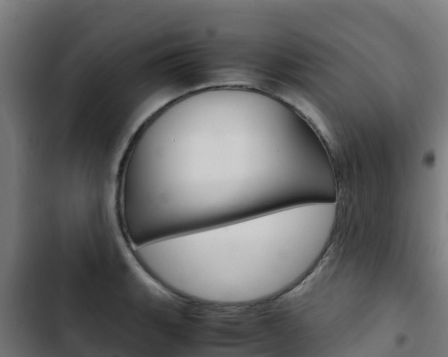 X0000103431135200809121030