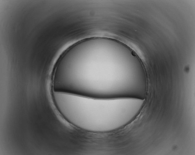 X0000103431136200809121030