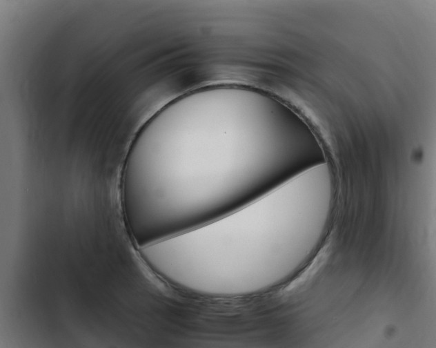 X0000103431137200809121030