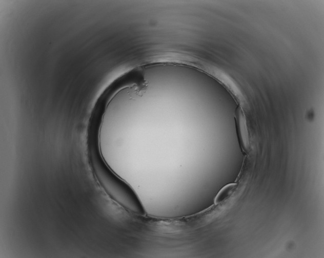 X0000103431138200809121030