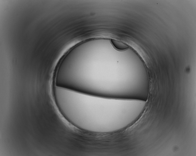 X0000103431139200809121030