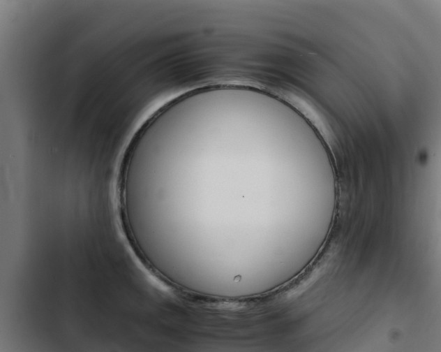 X0000103431141200809121030