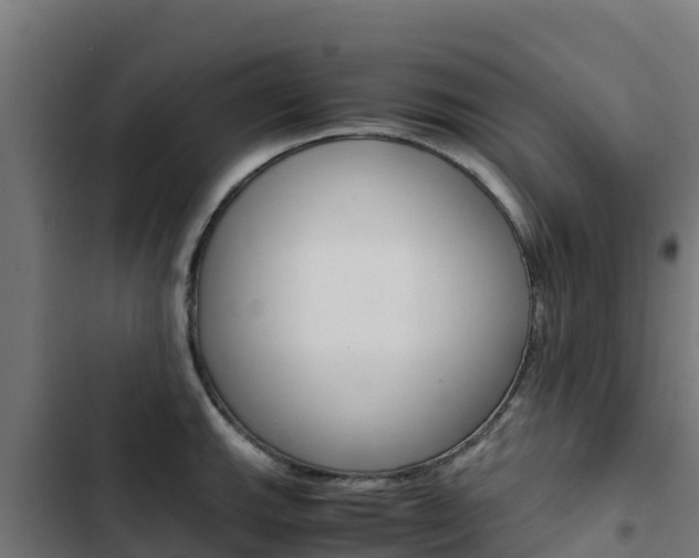 X0000103431143200809121030