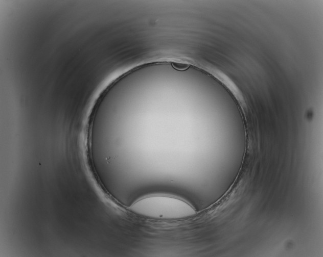 X0000103431144200809121030