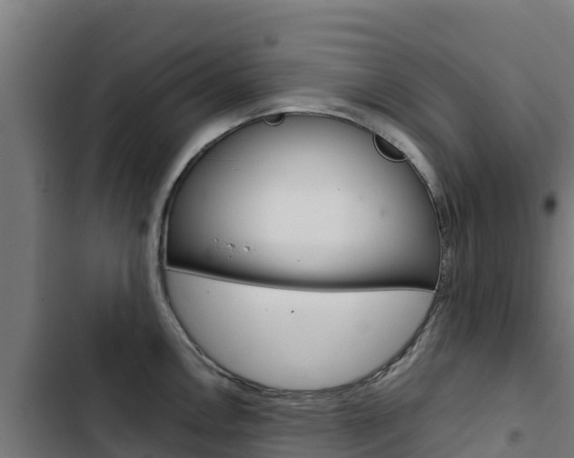 X0000103431146200809121030