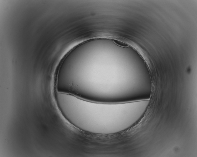 X0000103431147200809121030