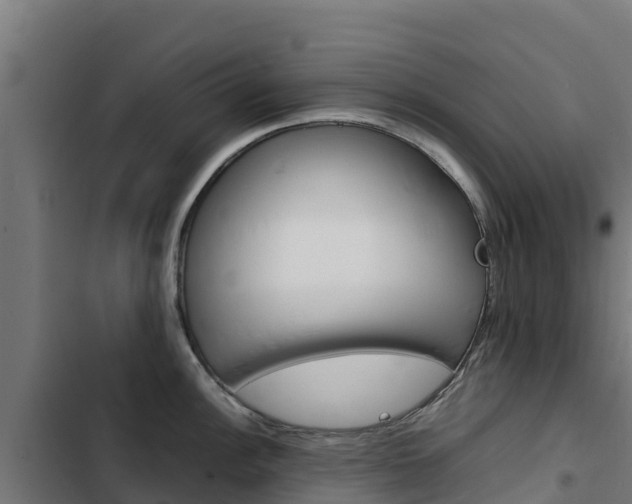 X0000103431148200809121030