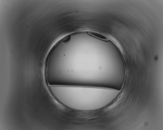X0000103431149200809121030