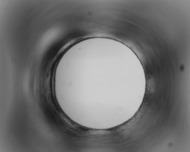 X0000103431150200809121030