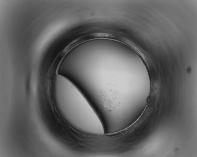 X0000103431151200809121030