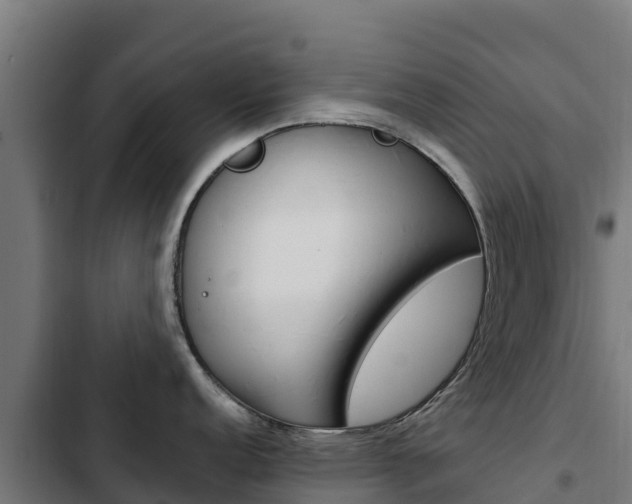 X0000103431152200809121030