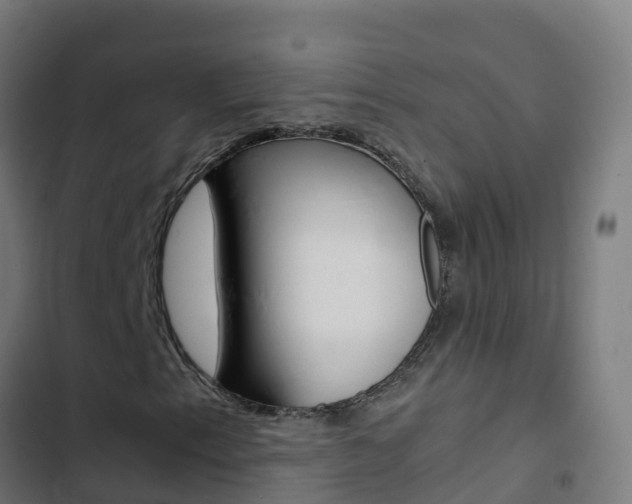 X0000103431153200809121030