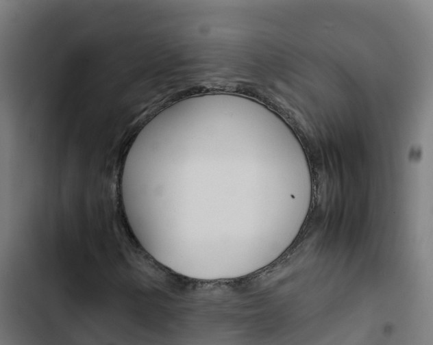 X0000103431154200809121030