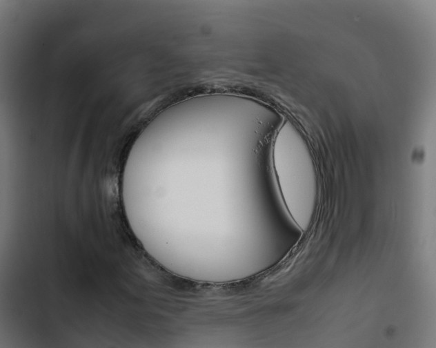 X0000103431155200809121030