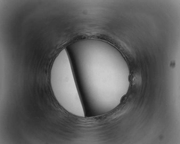X0000103431156200809121030
