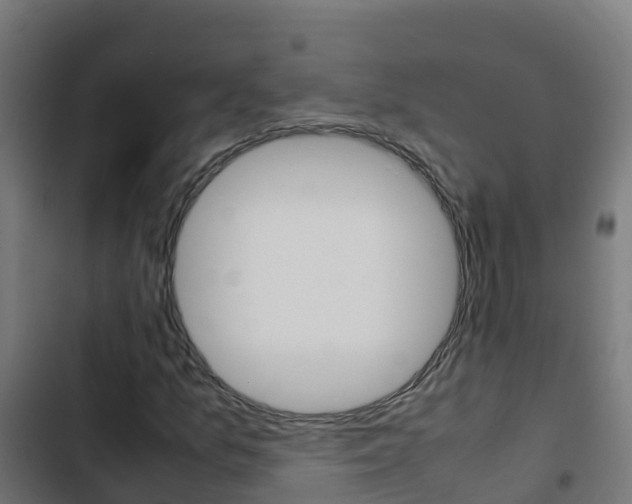 X0000103431157200809121029
