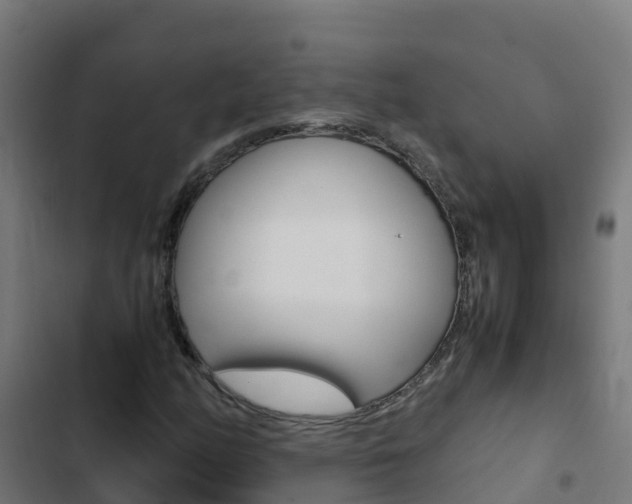 X0000103431158200809121029