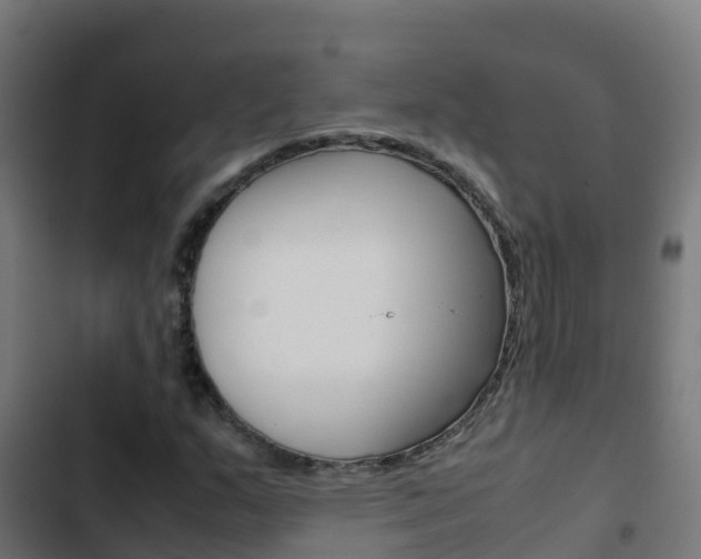 X0000103431159200809121029
