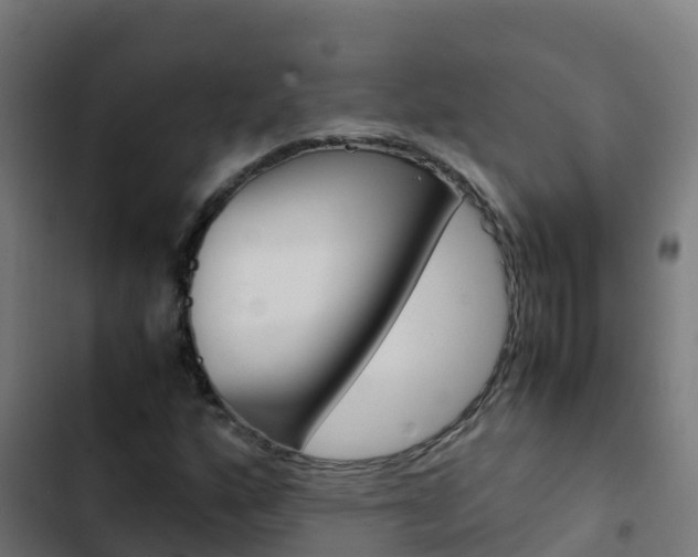 X0000103431160200809121029
