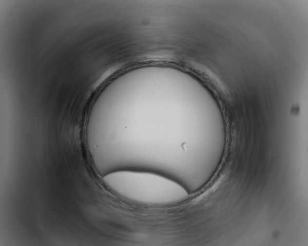 X0000103431162200809121029
