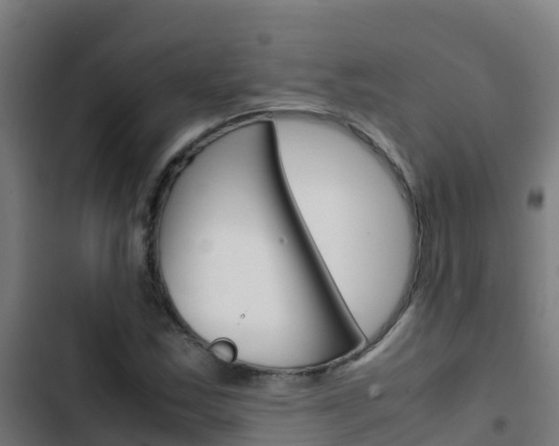X0000103431163200809121029