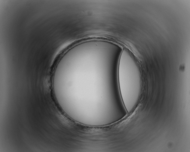 X0000103431164200809121029