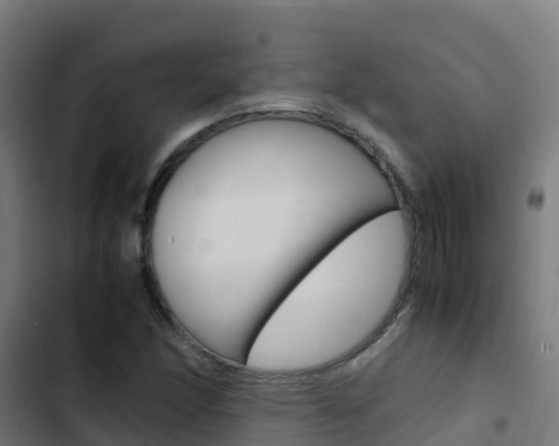 X0000103431166200809121029