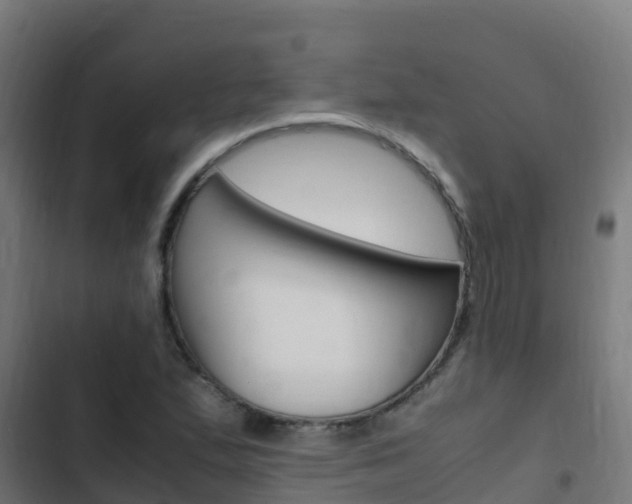 X0000103431167200809121029